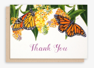Thank You Images Butterfly, HD Png Download, Free Download