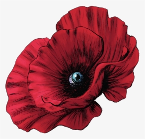 Poppy Web, HD Png Download, Free Download