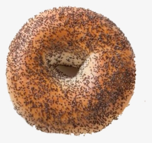 Poppy Seed Bagel - Poppy Seed, HD Png Download, Free Download
