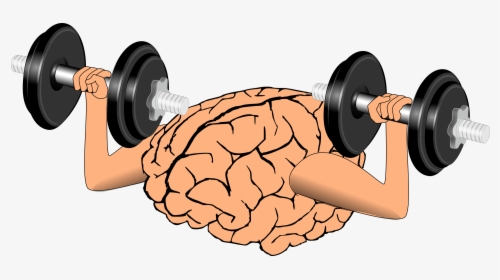 Brain Exercise - Mental Weightlifting, HD Png Download, Free Download