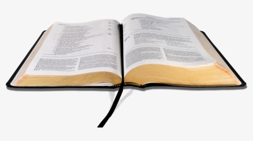 Biblia Png Sin Fondo - Open Bible Transparent Background, Png Download, Free Download
