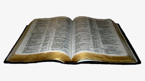 Biblia Png Sin Fondo - Imagen De Biblia Png, Transparent Png, Free Download