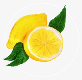 Attribute Motif Lemon White - Sweet Lemon, HD Png Download, Free Download