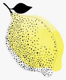 Limon Amsterdam Logo, HD Png Download, Free Download