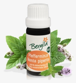 Bergila, HD Png Download, Free Download