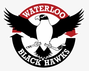 Waterloo Black Hawks Logo, HD Png Download, Free Download