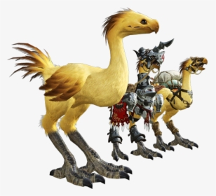 Final Fantasy 14 Chocobo, HD Png Download, Free Download