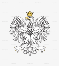 Drawing Eagles Crown - Polish Eagle Png, Transparent Png, Free Download