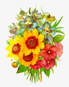 Pixabay Flower Vector, HD Png Download, Free Download