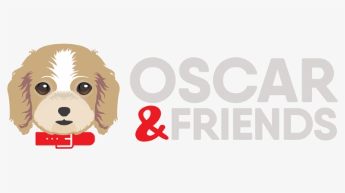 Oscar & Friends Vouchers Codes - Miniature Poodle, HD Png Download, Free Download