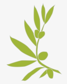 Olive Branch Vector Png, Transparent Png, Free Download