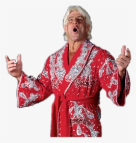 Ric Flair Costume Ideas, HD Png Download, Free Download