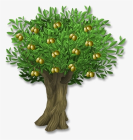 Olive Leaf Tree Clip Art - Olive Tree With Olives Png, Transparent Png, Free Download