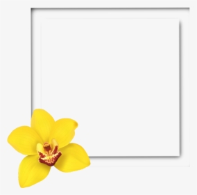 #square #frame #3d #yellow #flower #frames #border - Yellow Flower Frames And Borders, HD Png Download, Free Download