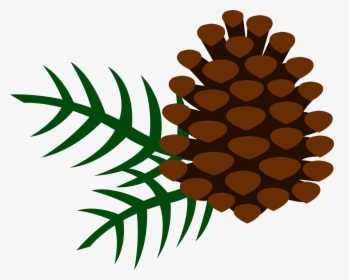 Clip Art Pine Cone, HD Png Download, Free Download