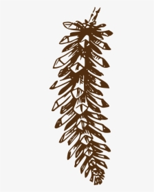 Pine Cone Plant Png, Transparent Png, Free Download