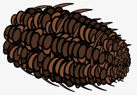Graphic, Pine Cone, Pine, Cone, Pine Tree, Coniferous - Illustration, HD Png Download, Free Download