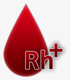 Blood Group Rh Factor Positive Blood Free Picture - Grupo Sanguineo Ab Positivo, HD Png Download, Free Download