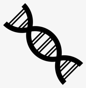Dna Strand - Gene Black And White, HD Png Download, Free Download