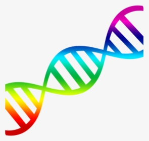Dna Clip Art Dna Clipart 15 Clip Arts For Free Download - Dna Double Helix Png, Transparent Png, Free Download