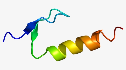 Dna Clipart Dna Replication - Dna Polymerase Eta, HD Png Download, Free Download