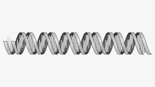 Dna Helix, HD Png Download, Free Download