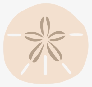 Sand Dollar, HD Png Download, Free Download