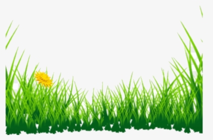 Grass Clipart Boarder Green Transparent Png - Grass Clipart Png, Png Download, Free Download