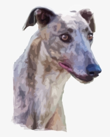 Watercolor Of Greyhound Dog, HD Png Download, Free Download