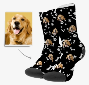 Socks With Dog Face, HD Png Download, Free Download