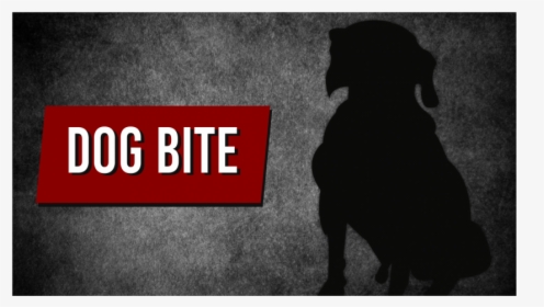 Hunting Dog, HD Png Download, Free Download