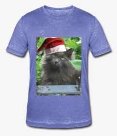 Transparent Russian Hat Png - Blue Long Hair Cat, Png Download, Free Download