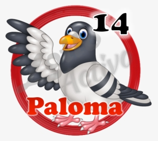 Transparent Paloma Png - Desenhos De Pombos Coloridos, Png Download, Free Download