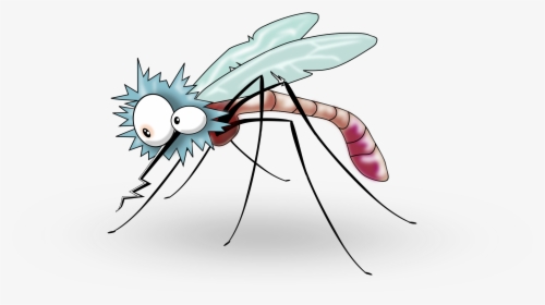 Pin By Paula Rice - Transparent Background Mosquito Clipart Transparent, HD Png Download, Free Download