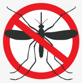 Mosquito Graphic - Mosquito Crossed Out, HD Png Download, Free Download