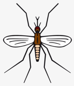 Mosquito In Brown Color Svg Clip Arts - Mosquito Black And White Clipart, HD Png Download, Free Download
