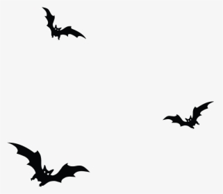 Transparent Bat Silhouette Png - Animated Bat Transparent Background, Png Download, Free Download