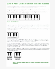 Referencia De Notas Musicales En Un Piano, HD Png Download, Free Download