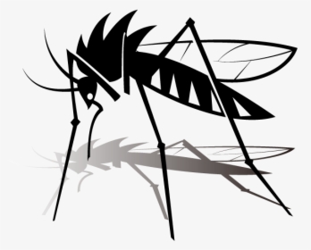 Mosquito - Dengue Alert, HD Png Download, Free Download