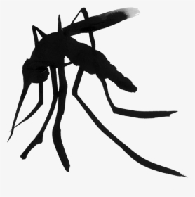 1 - Mosquito - Ant, HD Png Download, Free Download