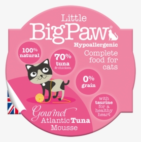 Little Big Paw Cat - Domestic Short-haired Cat, HD Png Download, Free Download
