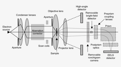 Schematic Of A Transmission - Scanning Transmission Electron Microscope Diagram, HD Png Download, Free Download