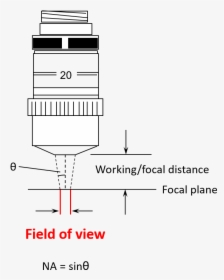 Field Of View, Working Distance, And Numerical Aperture - Sony Edge Led, HD Png Download, Free Download