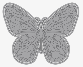 Butterfly Aperture - Short-tailed Blue, HD Png Download, Free Download