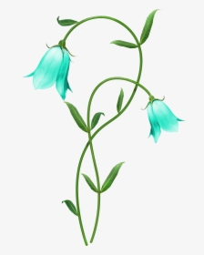 Blue Lily Flower Png, Transparent Png, Free Download