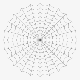Cob Web, Spiderweb, Spider"s Web, Web, Spider, Insect - Spider Web Transparent Background, HD Png Download, Free Download