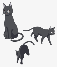 El Anime De Flying Witch Presenta A Los Familiares - Anime Black Cat Animal, HD Png Download, Free Download