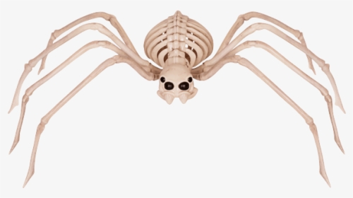 Spider Png Images Free Transparent Spider Download Page 8 Kindpng - yeah so can we praise this roblox spider roblox spider hd png download kindpng