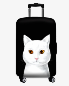 Flying Mouse 365 24""-26" - Domestic Short-haired Cat, HD Png Download, Free Download