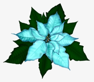 Fantasy Moments ~ Winter Impressions - Transparent Background Poinsettia Clipart Png, Png Download, Free Download